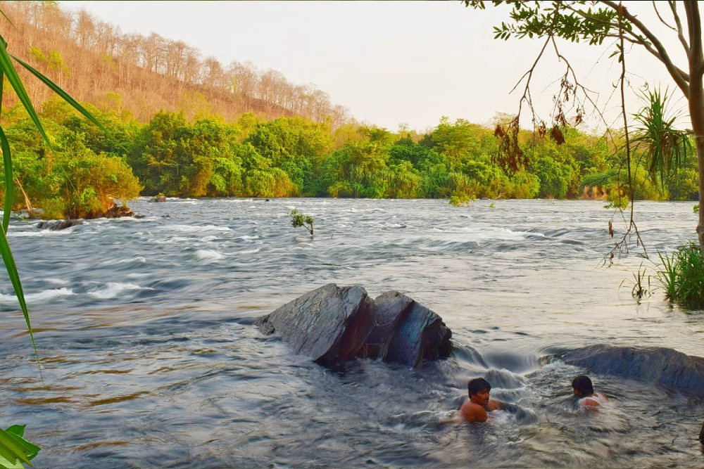 Ashwini Hotel and Lodging